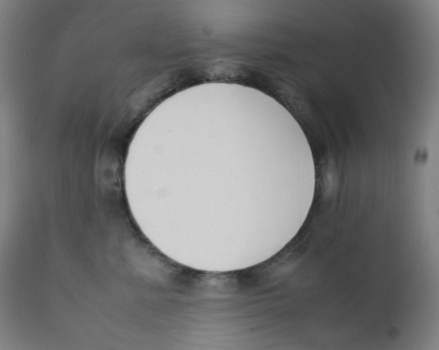 X0000111880619200908201258