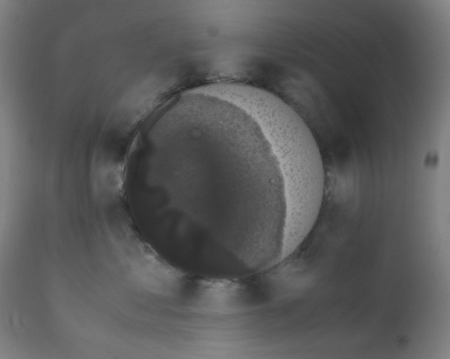 X0000111880621200908201258
