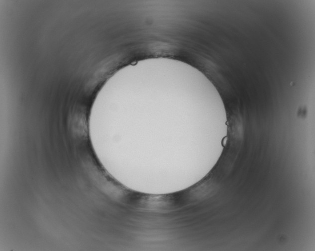 X0000111880622200908201258