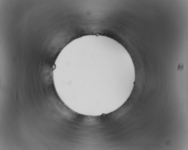 X0000111880624200908201258