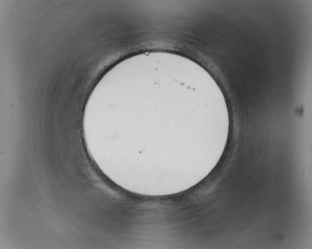 X0000111880625200908201258