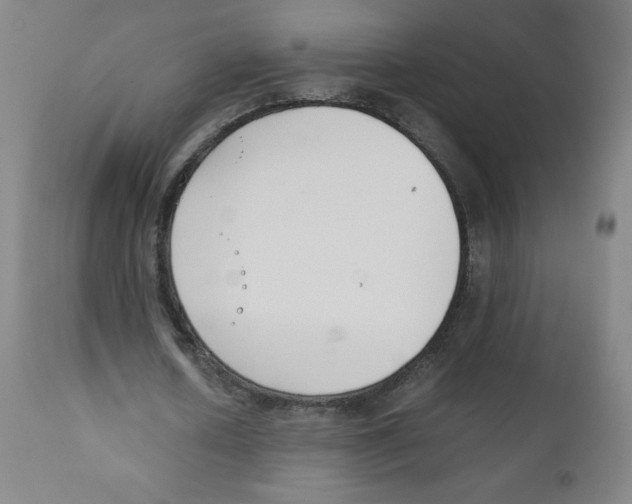 X0000111880626200908201258