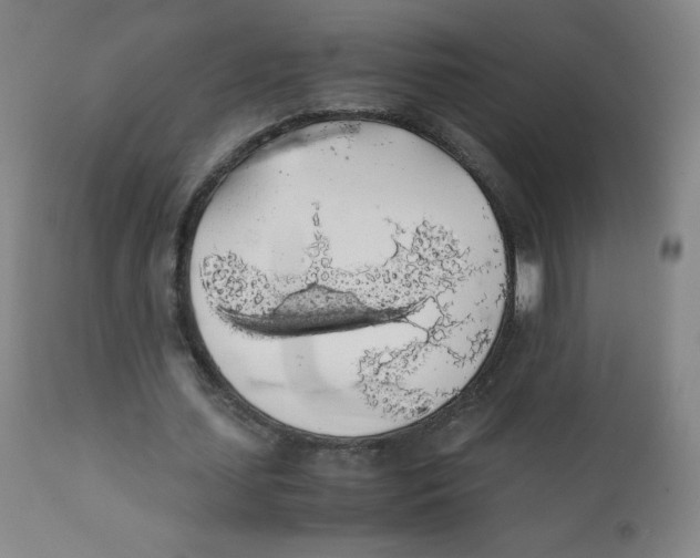 X0000111880627200908201258