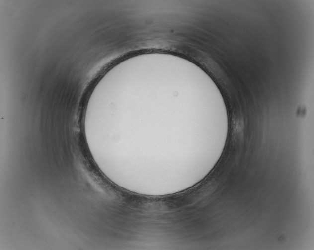 X0000111880628200908201258