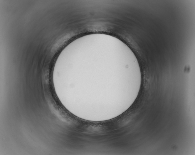 X0000111880631200908201258