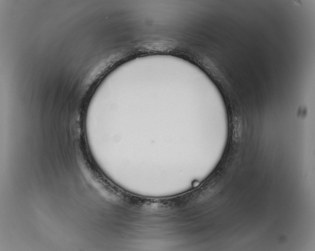 X0000111880634200908201258