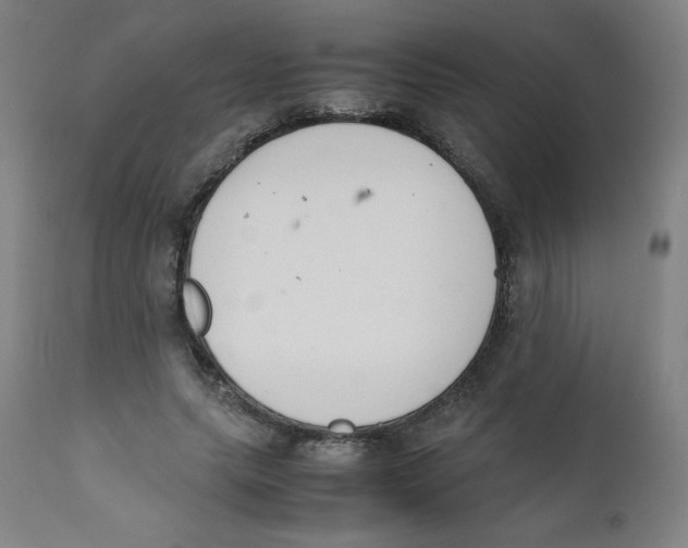 X0000111880639200908201258