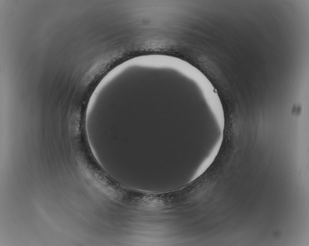 X0000111880640200908201258