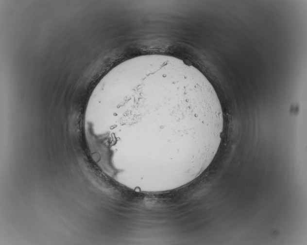 X0000111880641200908201258
