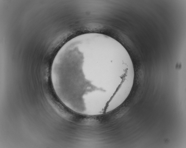 X0000111880644200908201258
