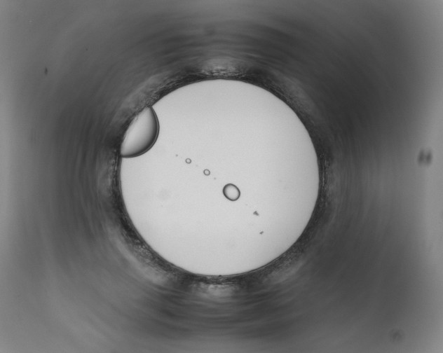 X0000111880645200908201258