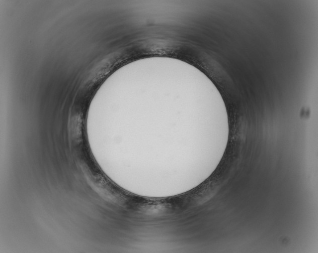 X0000111880646200908201258