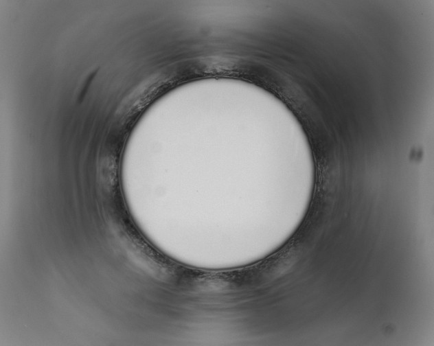 X0000111880648200908201258