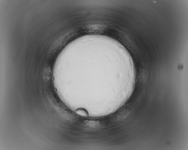 X0000111880649200908201258