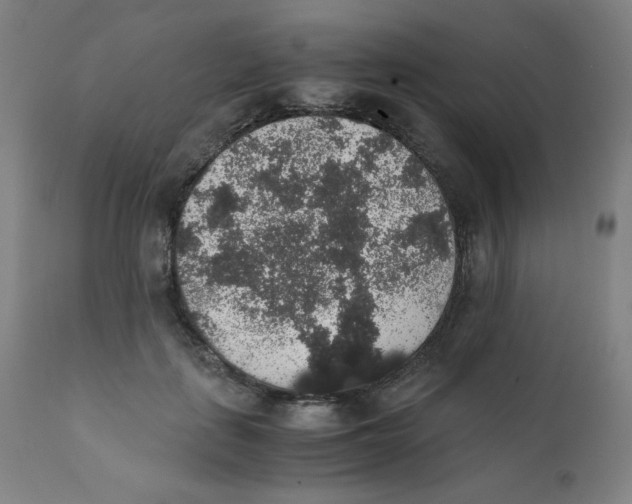 X0000111880651200908201258