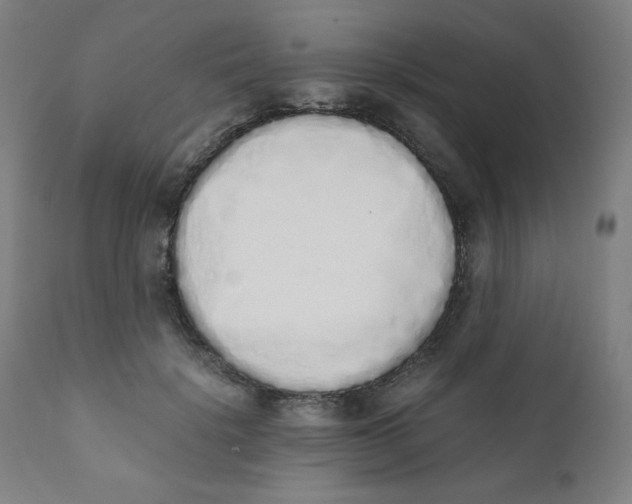 X0000111880652200908201258