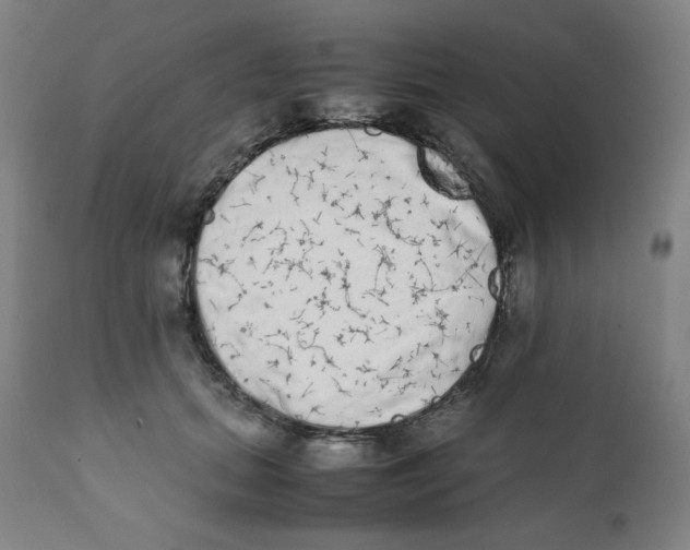 X0000111880655200908201258