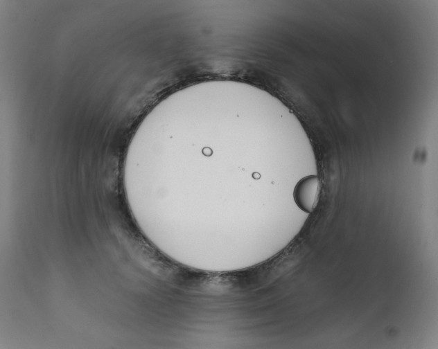 X0000111880656200908201258