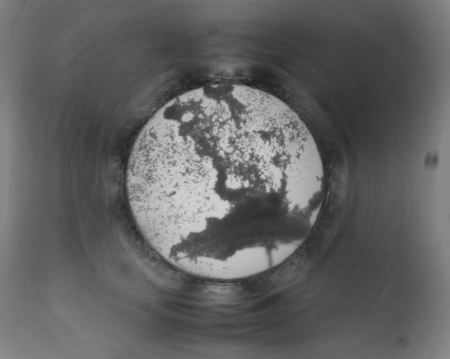 X0000111880659200908201258