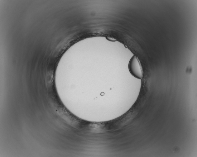 X0000111880660200908201258