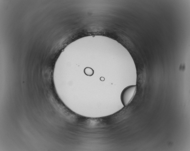 X0000111880662200908201258