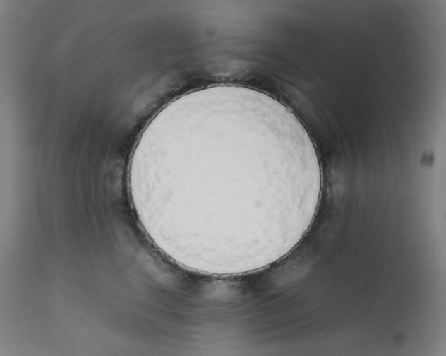 X0000111880664200908201258