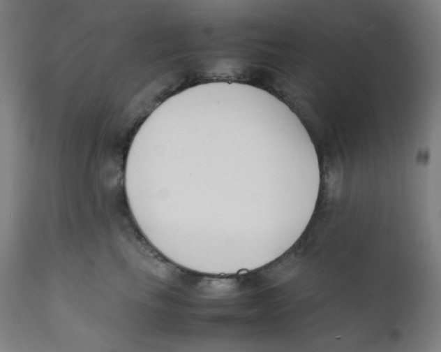 X0000111880665200908201258