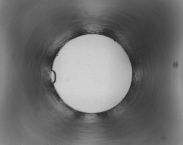 X0000111880666200908201258
