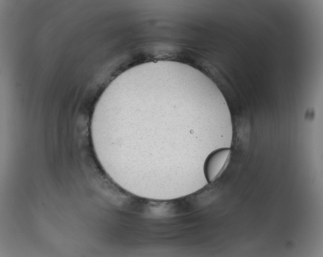 X0000111880667200908201258
