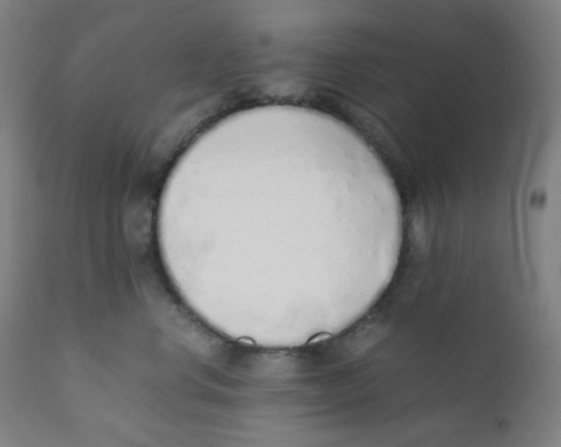 X0000111880668200908201258
