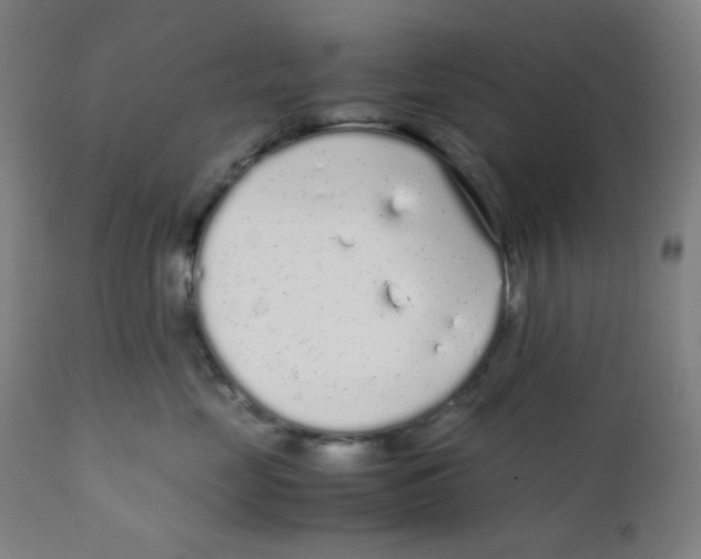 X0000111880669200908201258