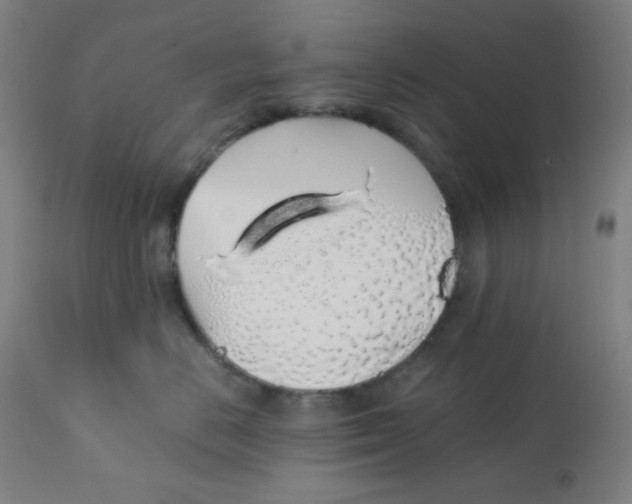 X0000111880670200908201258