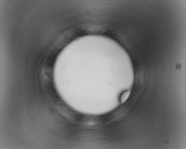 X0000111880671200908201258