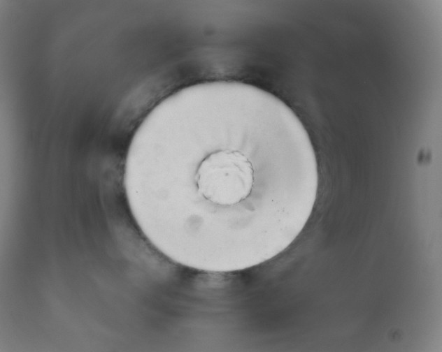 X0000111880672200908201258