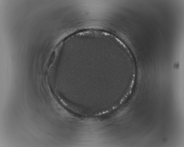 X0000111880673200908201258