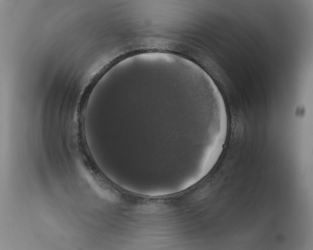 X0000111880674200908201258