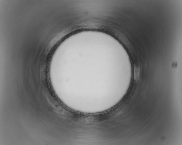X0000111880675200908201258
