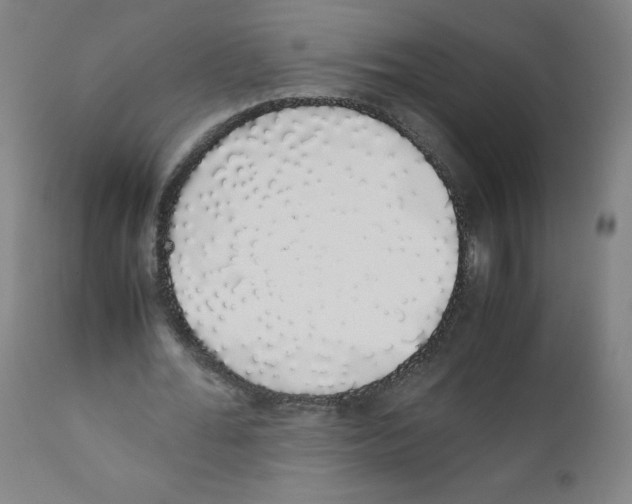X0000111880676200908201258