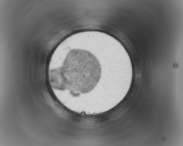 X0000111880677200908201258