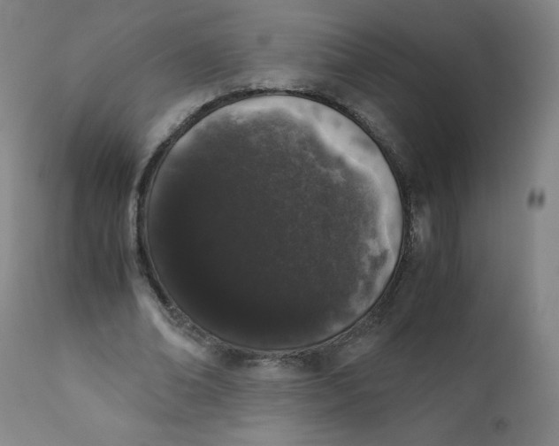 X0000111880678200908201258