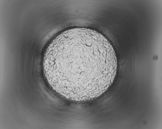 X0000111880679200908201258