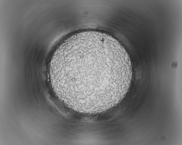 X0000111880680200908201258