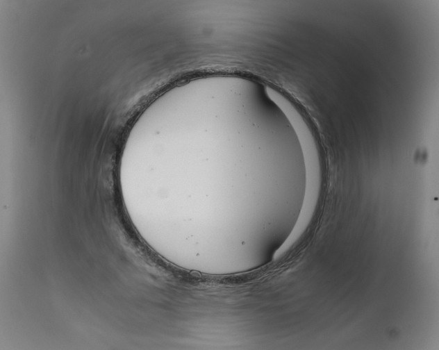 X0000111880681200908201258