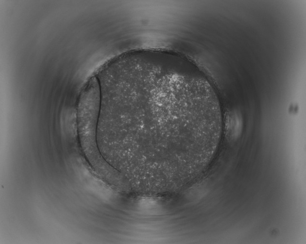 X0000111880684200908201257