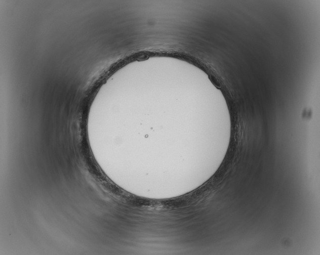 X0000111880688200908201257