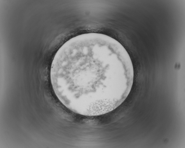 X0000111880689200908201257