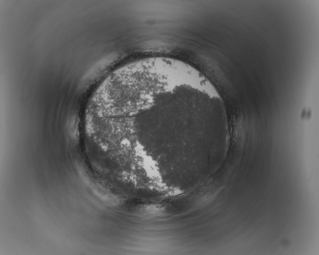 X0000111880692200908201257