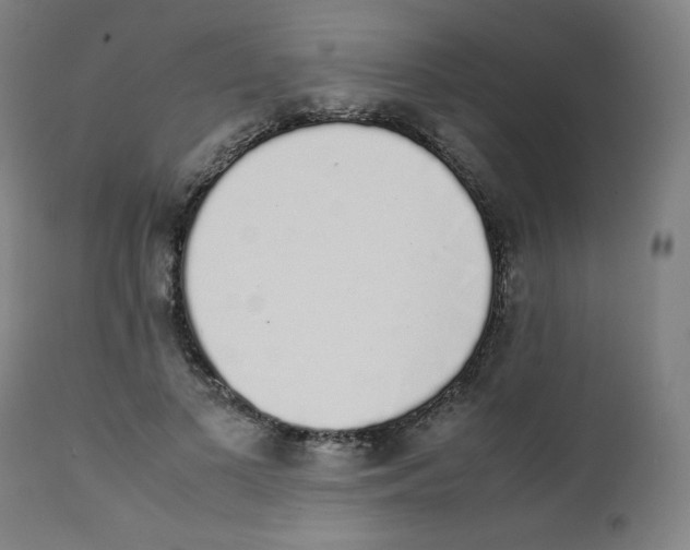 X0000111880693200908201257