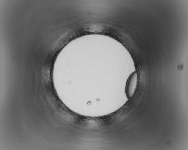X0000111880697200908201257