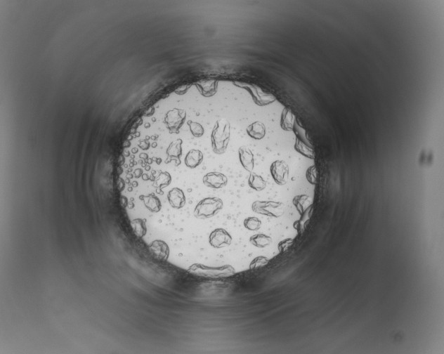 X0000111880700200908201257